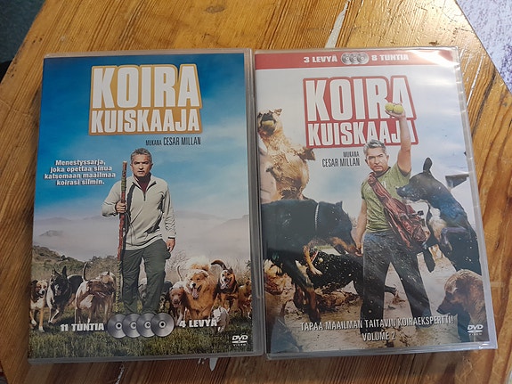 Koirakuiskaaja dvd