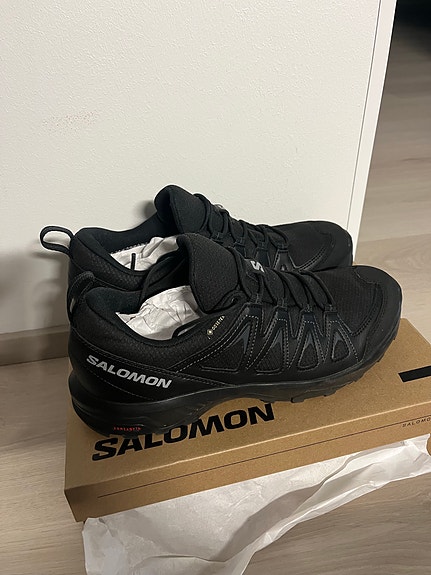 SALOMON X BRAZE GORETEX