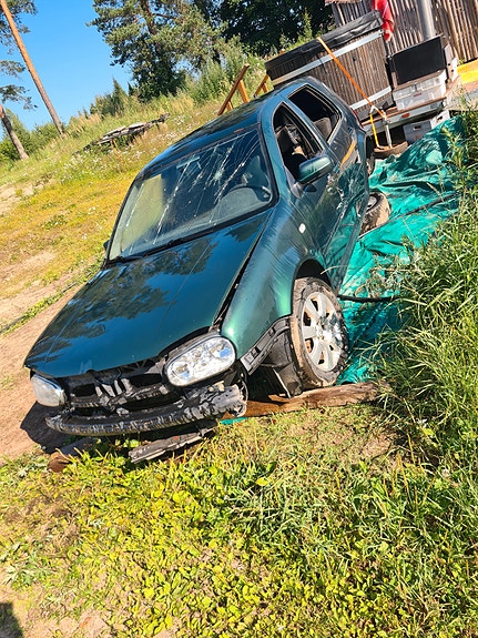 GOLFFI osina