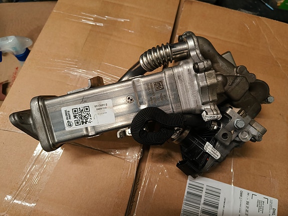 Bmw F11 egr