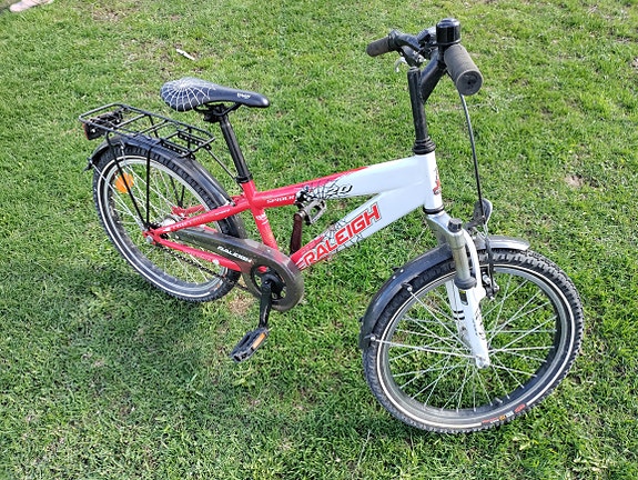Raleigh 20"