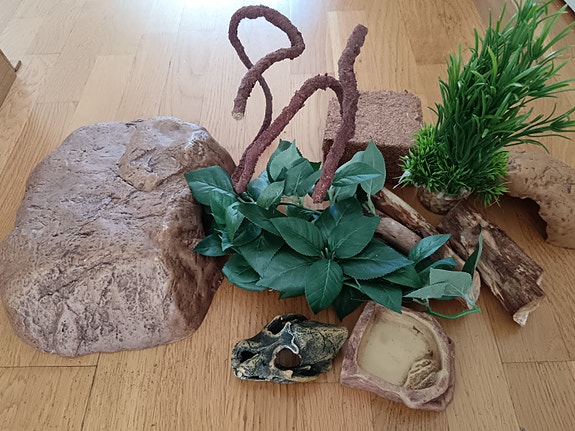 Terraarioon sisustusta