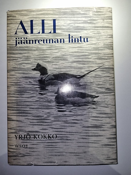 Alli jäänreunan lintu - Yrjö Kokko
