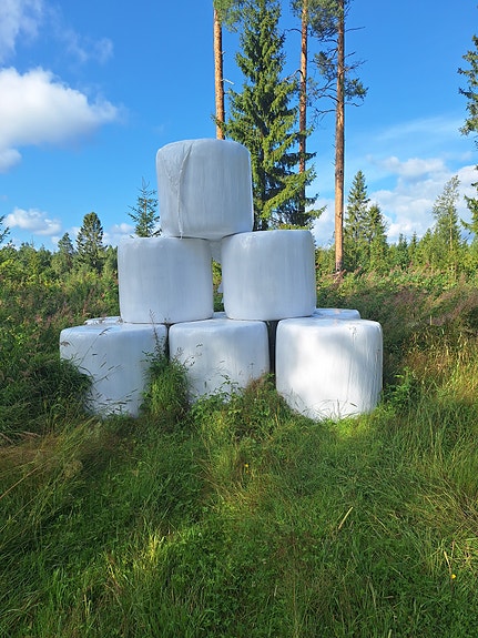 Kuivaa heinää.