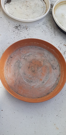 Product image 21 of 26