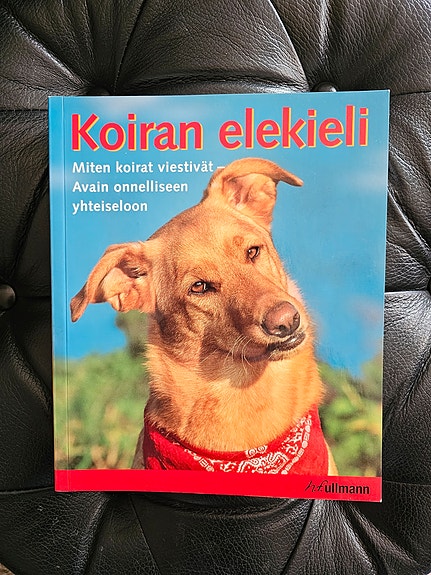 Koiran elekieli kirja 10e.