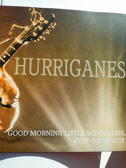 Hurriganes Vinyyli Single