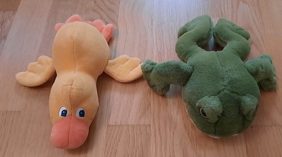 Sammakko ja ankka