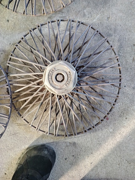 Mangels pinna kapselit 15"