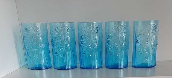 FloraLasit 5kpl (Desing Oiva Toikka)