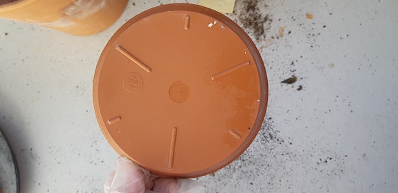 Product image 4 of 26