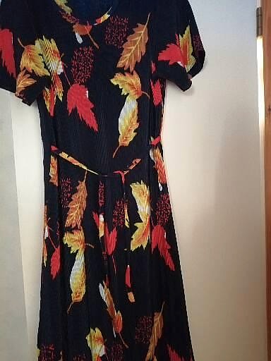 Vintage mekko