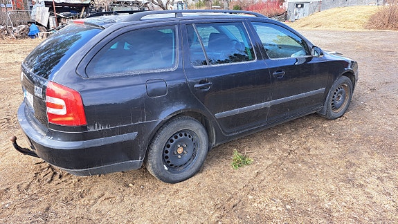 osina skoda