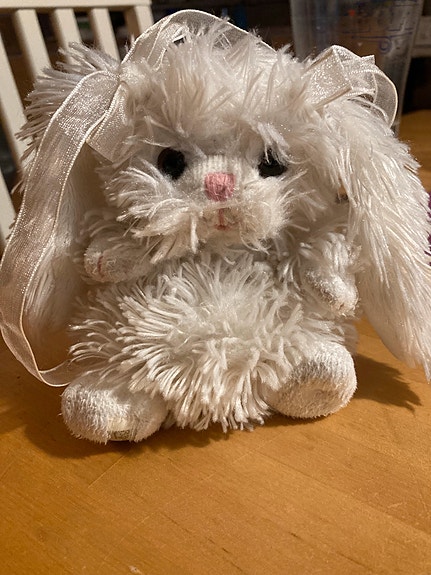 Pupu