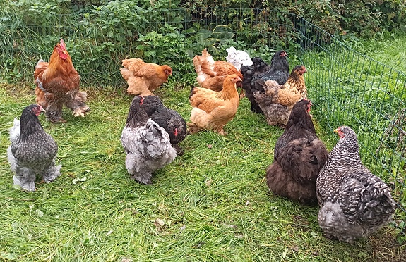 Product image 5 of 9