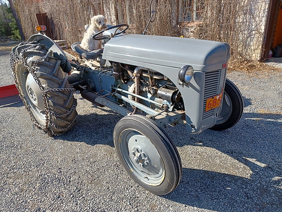 Massey Ferguson tea 20