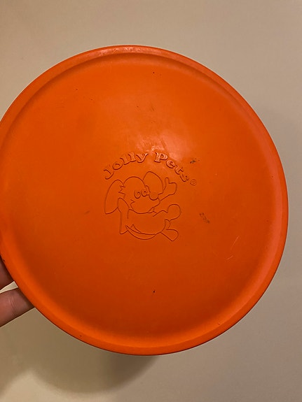 Jolly pets koiran frisbee