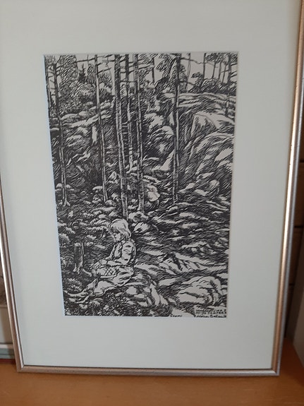 Kallioinen metsämaisema