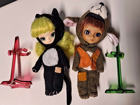 Little Pullip kissa ja koira
