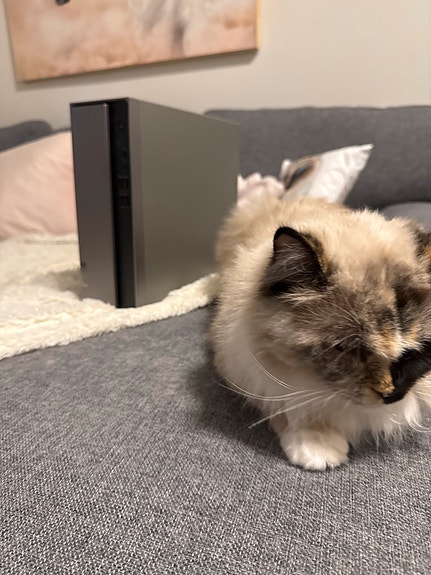 Product image 2 of 6