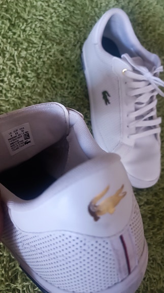 Lacoste tennarit