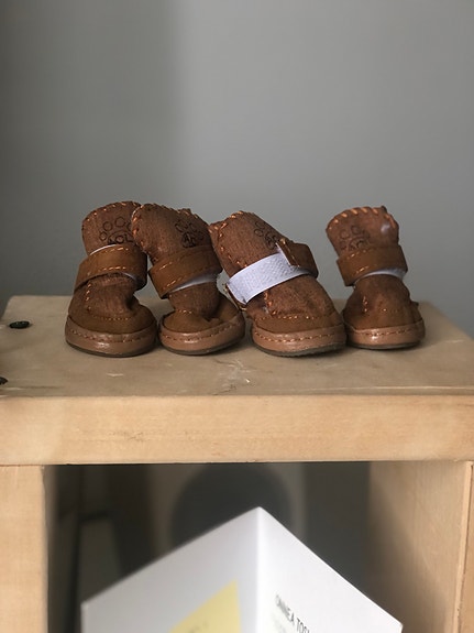 Myydään koiralle ugg tyyliset kengät