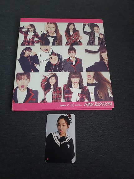 K-pop Apink Pink Blossom