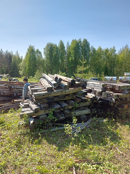 100 v. vanhaa hirttä