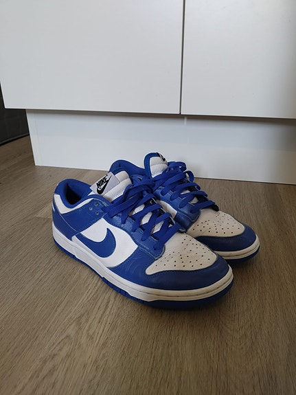 Nike Dunk