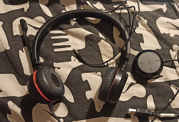 Kuulokkeet Jabra Evolve 30 II