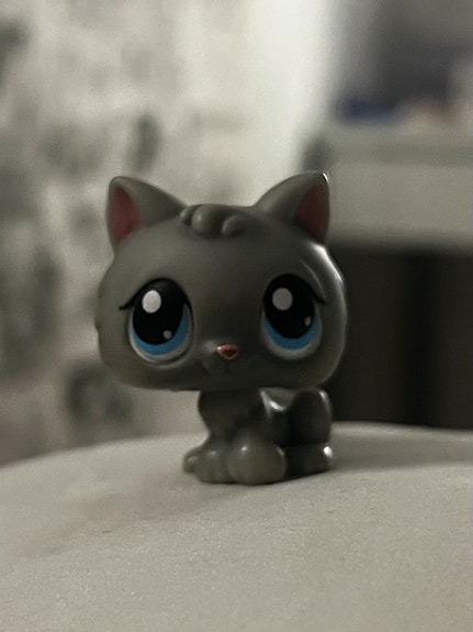 lps kissa