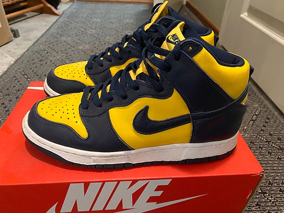 Nike Dunk Hi Michigan US 9.5/EU43