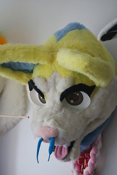 Koira fursuit