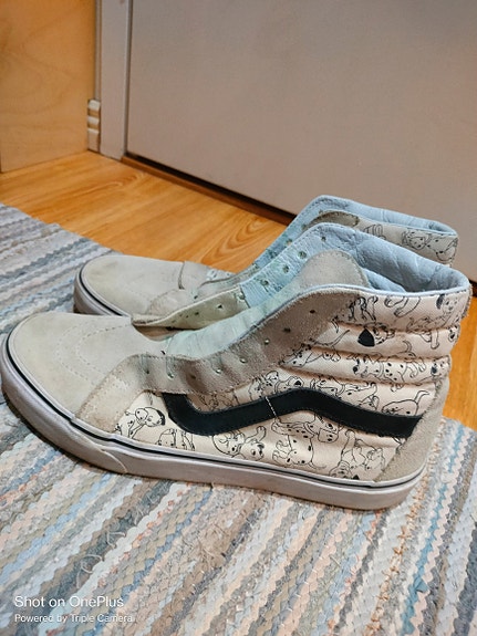 Converse Disney 42