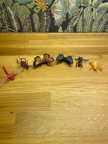 Hyönteis leluja lapselle