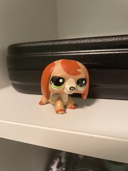 Lps mäyräkoira