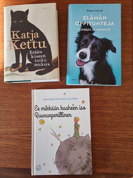 Hyväkuntoisia kovakantisia kirjoja