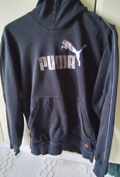 Puma college