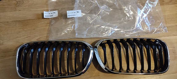 BMW munuaiset säleikkö