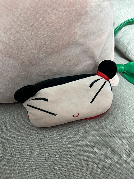 Pucca pussukka