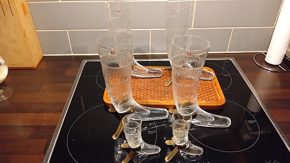 Iittala sarvi olutlasit ja snapsilasit