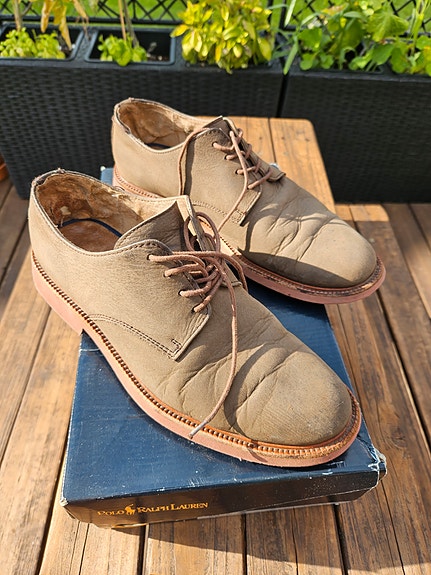 Polo Ralph Lauren Torrington kengät koko 41