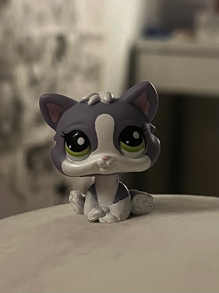 lps kissa
