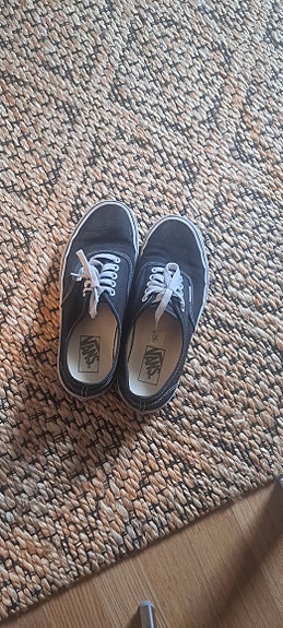 Vanssit.