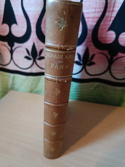 Juhani Aho: Panu