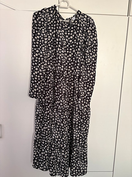 Pitkä kesämekko