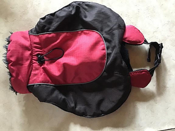 Koiran takki