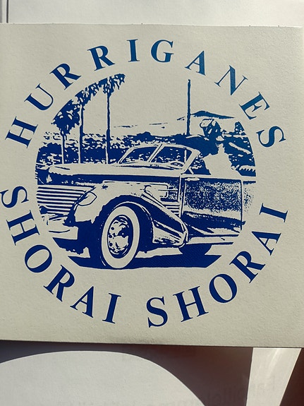 Hurriganes Vinyyli Single