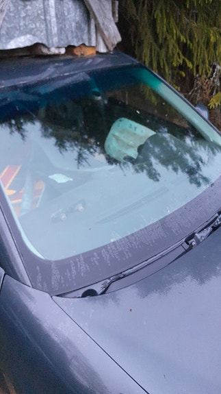 Seat tuulilasi