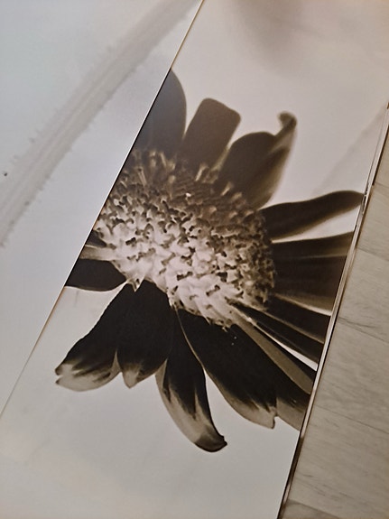 Photo tapetti